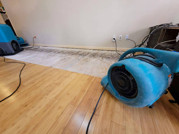 Professional Flood Damage Cleanup technician working in Wellman, TX